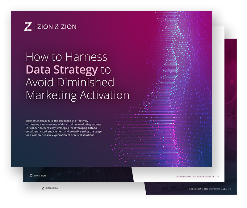 Data Strategy white paper preview